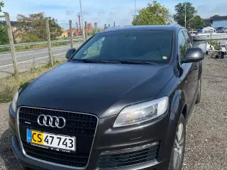 AUDI Q7. SYNET 14 AUG-25. KM.T. 241. PAPEGØJEPLADE