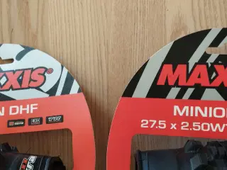 2 stk. Cykeldæk, Maxxis Minion DHF 3C Maxx Terra/E