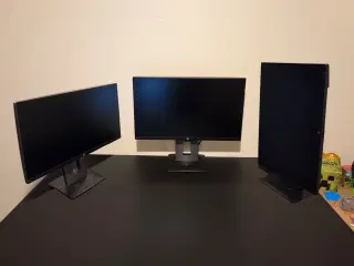 HP Z23n Narrow Bezel IPS-skærm - Strålende tilbud!
