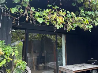 Skøn kolonihave med fantastisk beliggenhed 