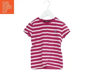 Stribet T-shirt fra Polo (str. 116)