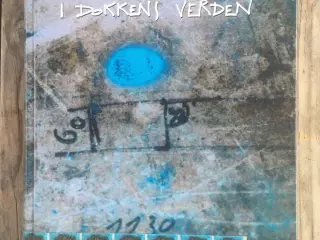 I Dokkens verden – Aarhus Flydedok