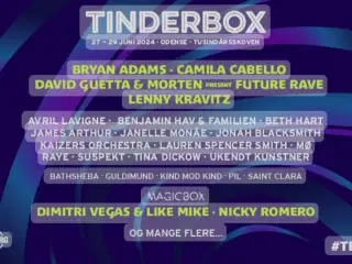 2 x 3 dages billetter til Tinderbox 