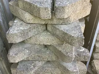 Brudplantesten 