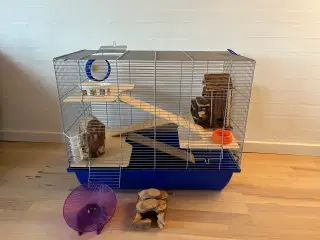 Hamsterbur med tilbehør
