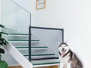 Hundegitter sikkerhedsnet - Petinu, 112 × 73 cm