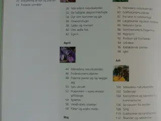 familiens naturbog, af thomas bille og leif schack