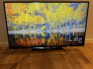 47” Philips fladskærms TV 