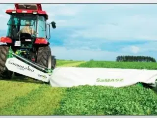 SaMASZ Samba 160 cm