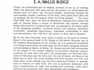 The Gods of the Egyptians Vol 2 by EA Wallis Budge