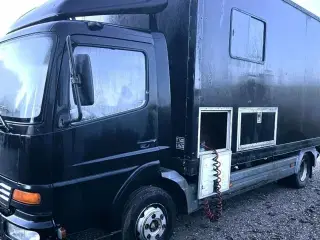 Mercedes Atego Hestetransport