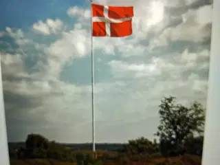 Flagstang 8 m. Glasfiber 