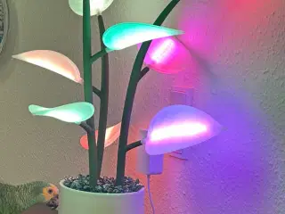 Fluora led plante 