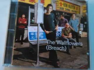 The wallflowers: Breach (2000