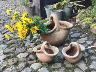 Terrakotta krukker med hank
