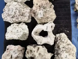 Akvarie sten