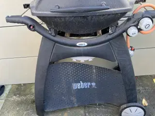 Gril