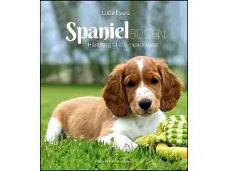 Spanielbogen