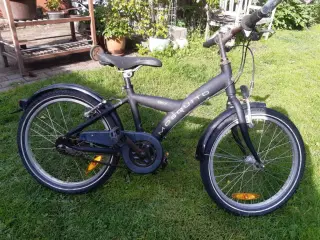 Musquito 20"