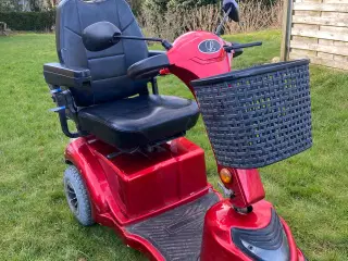 El scooter