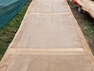 Store Egeplanker 