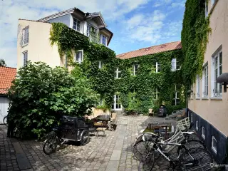 Byens hyggeligste kontorfællesskab