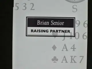 raising partner - bridge, by brian senior, emne: h