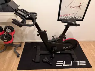 Life Fitness IC6 Indoor Cykel til salg