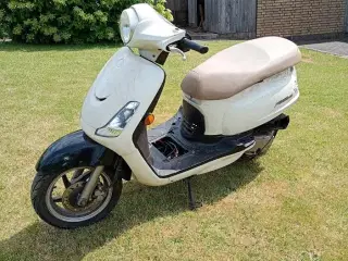 Sym Fiddle II