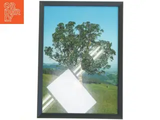 Indrammet plakat med et træ fra Posterland (str. 29,8x42 cm)