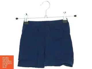 Shorts (str. 80 cm)