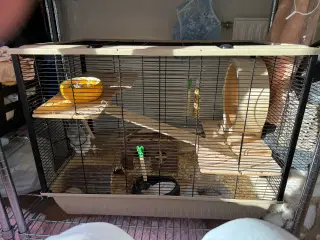 Hamster med bur og diverse