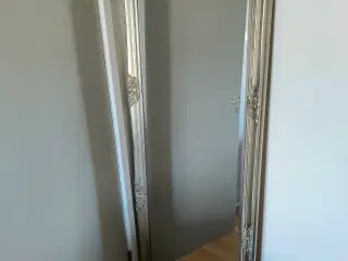 Kæmpe sølvspejl