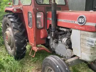 Ferguson 165