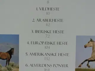 hesten - et dyr med sjæl, Af nicola jane swinney, 
