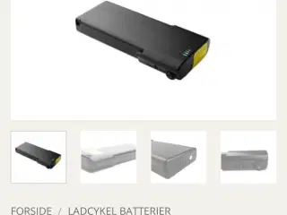 Ladcykel batteri 14AH - amladcykler