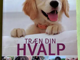 Træn Din Hvalp.   Gwen Bailey.   Brugt få gange.  