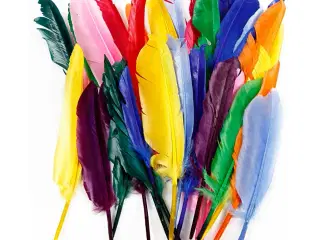 Fjer, L: 17-20 cm, 250stk./ 1 pk.