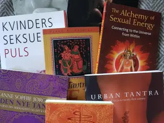 NEDSAT tantriske bøger (8 stk i god stand/som nye)