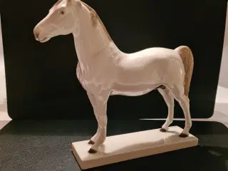 araber hest