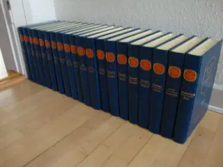 Den Store Danske Encyklopædi