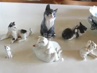 Royal Copenhagen katte