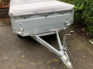 Buggy trailer