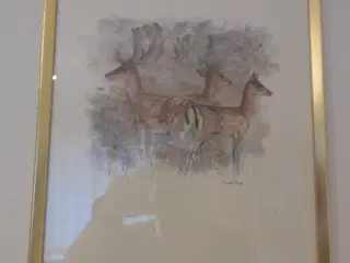 Mads Stage dyre billeder