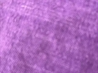 Enkelt elevationsseng