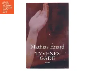 Tyvenes gade : roman af Mathias &#201;nard (f. 1972) (Bog)