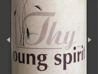 Thy Young spirits aug 2016