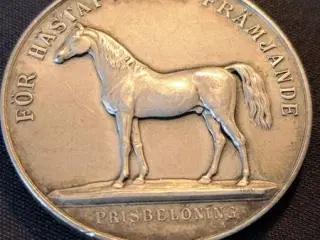 Svensk sølvmedalje 1934