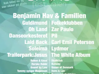 Skarø festival 