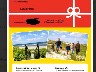 DANCENTER Gavekort på 4.000,- kr.